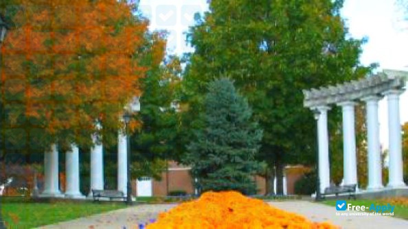 Carson - Newman University фотография №4