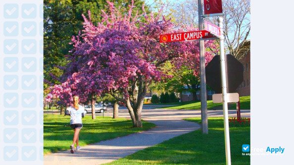 Calvin College photo