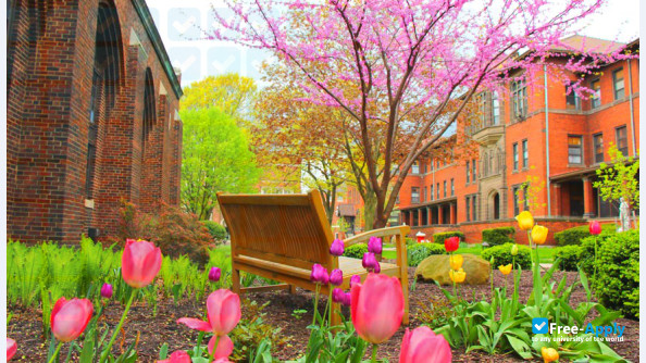 Photo de l’Carlow University #5