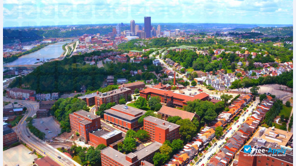 Photo de l’Carlow University #7