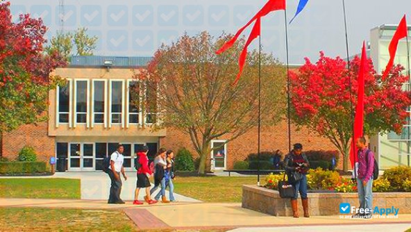 Camden County College photo #3