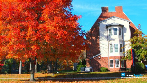 Camden County College photo #9