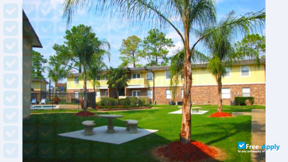 Camelot College photo #9