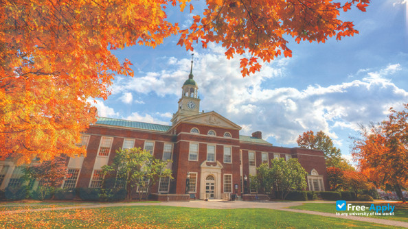 Bucknell University photo #5