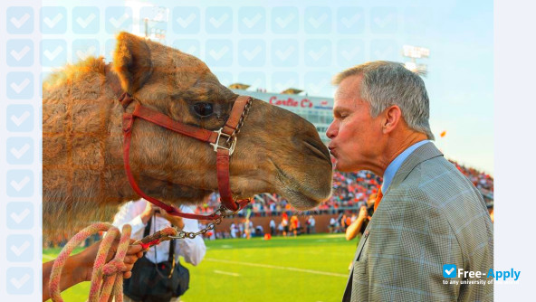 Фотография Campbell University
