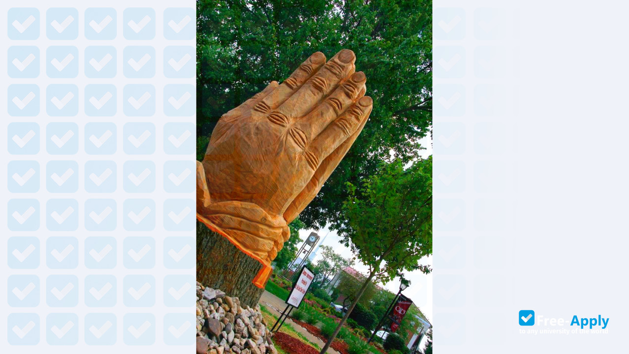 Campbellsville University photo #8