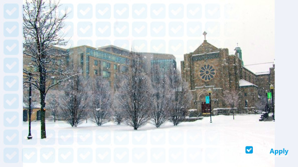Canisius College photo #16