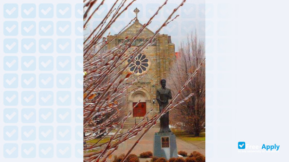 Canisius College photo #10