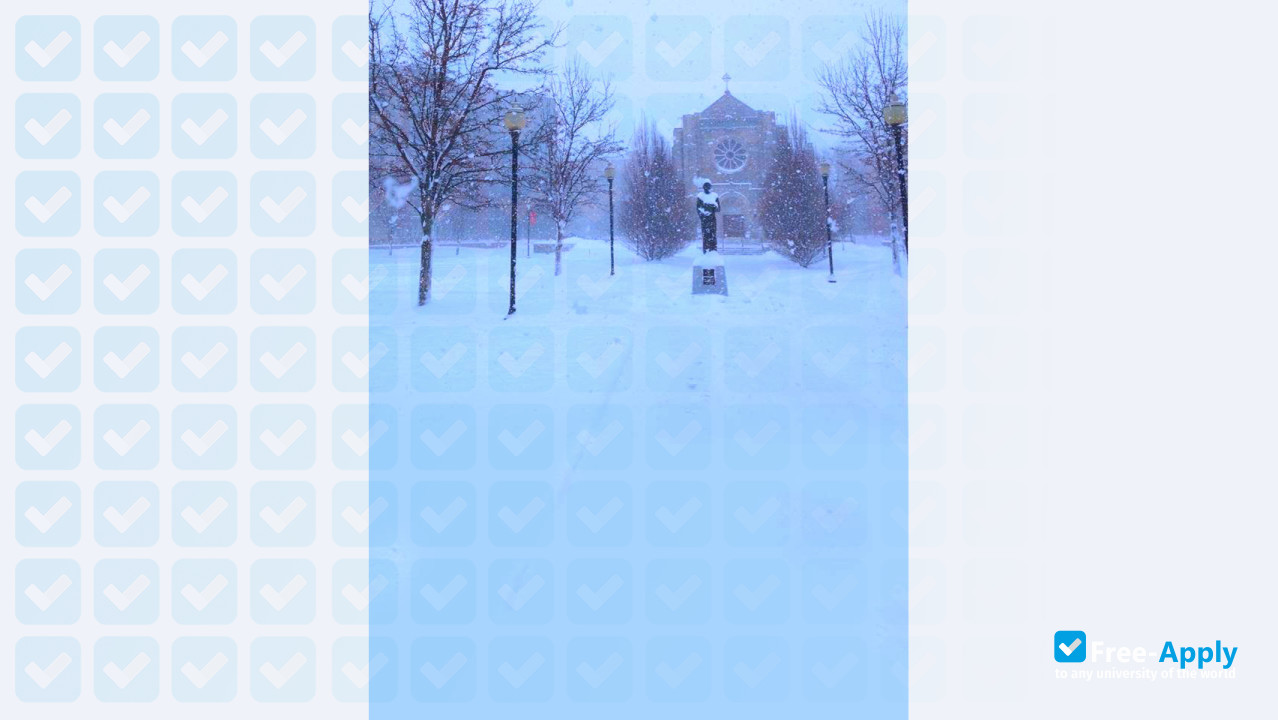 Canisius College photo #6