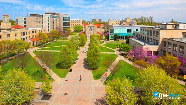 Canisius College photo #13