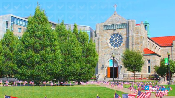 Canisius College photo #8