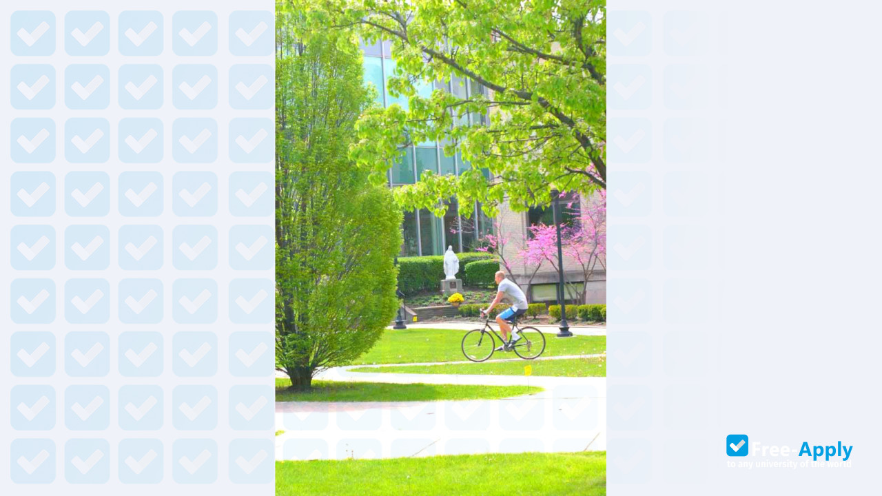 Canisius College photo #9