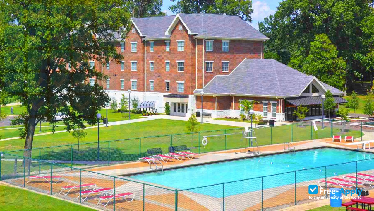 Christian Brothers University photo #3