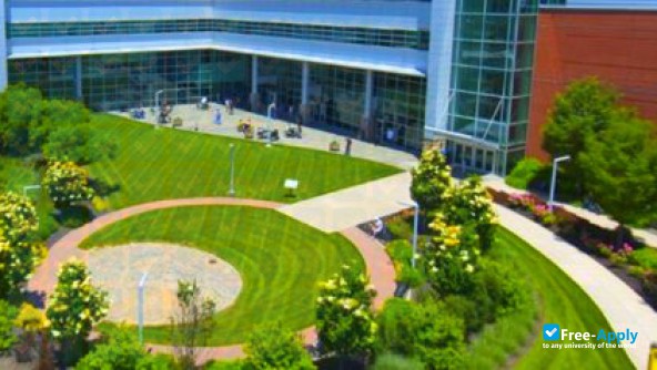 Cincinnati State Technical and Community College photo #6