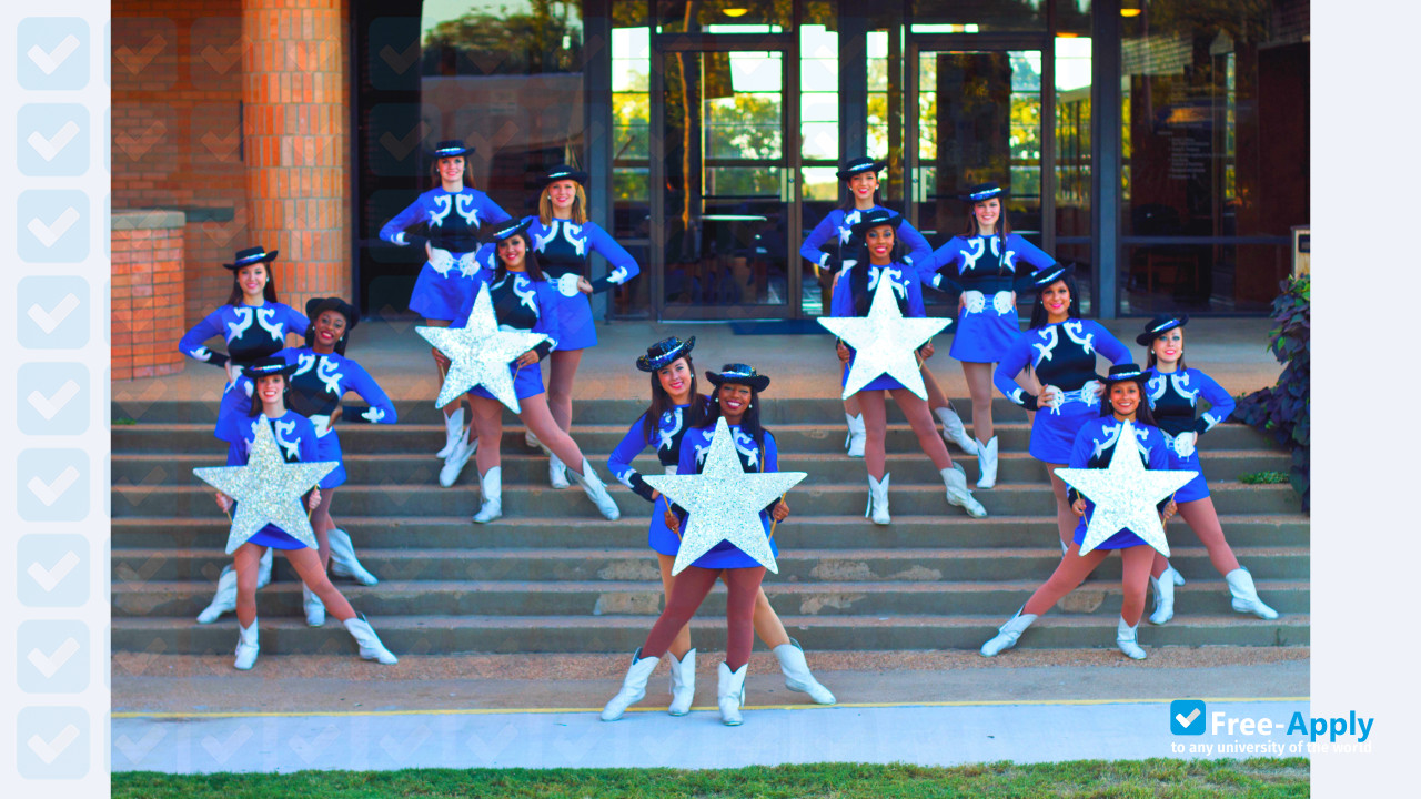 Cisco Junior College photo #2
