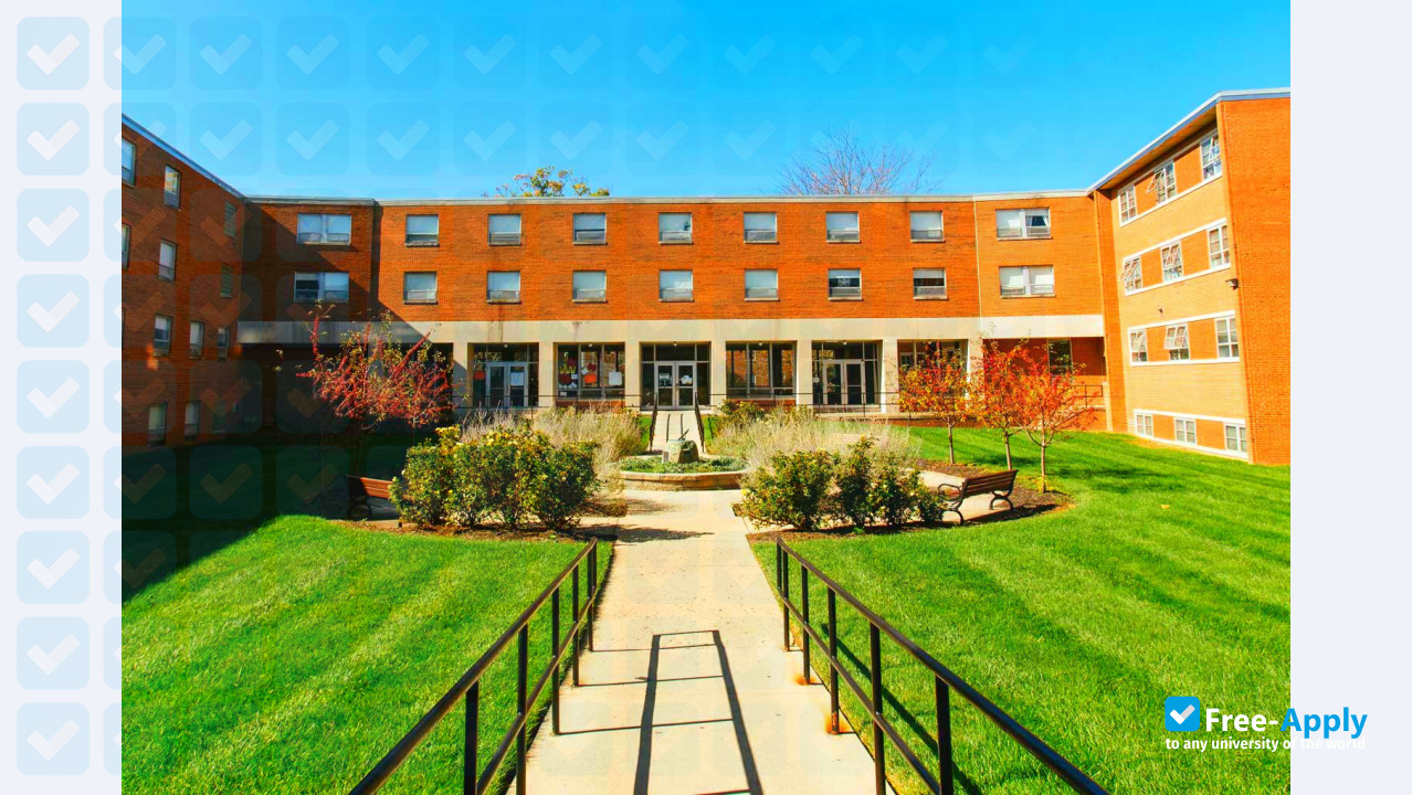 Capital University photo #8