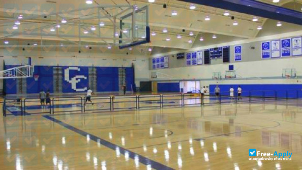 Cerritos photo #3