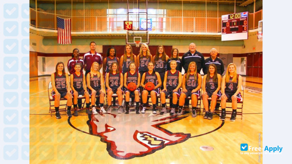 Cardinal Stritch University photo #9