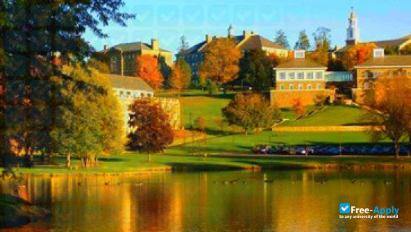 Photo de l’Colgate University #3