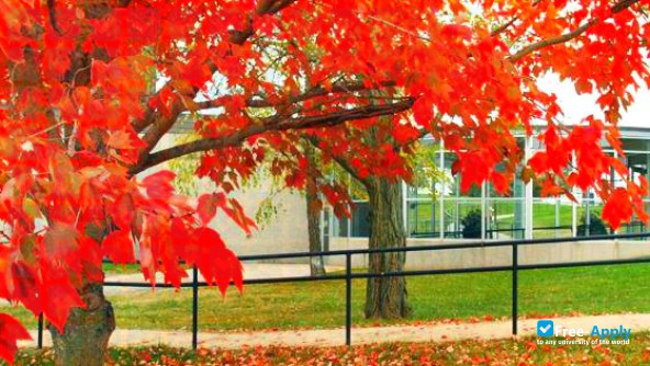 Carl Sandburg College фотография №7