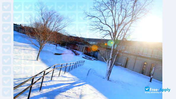 Carl Sandburg College фотография №17