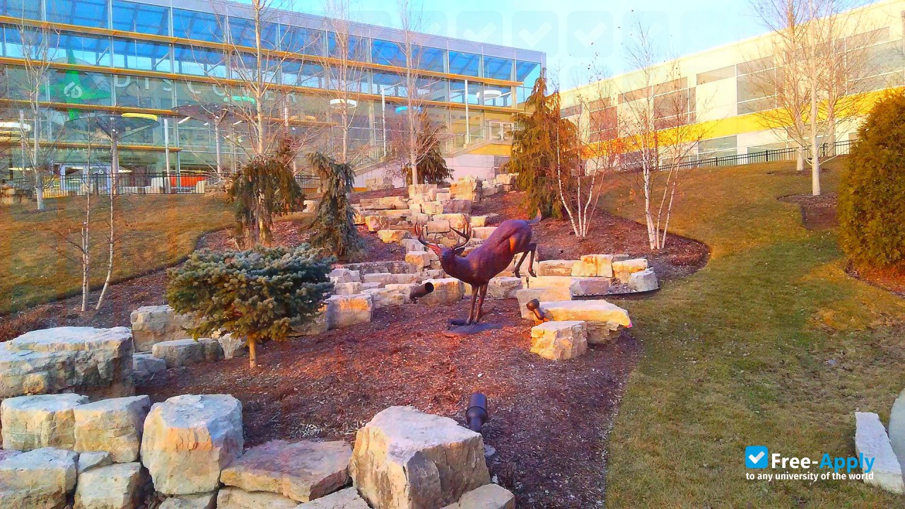 Photo de l’College of DuPage #6
