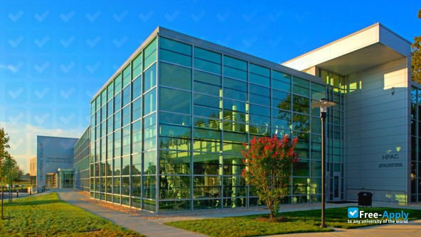 Chesapeake College фотография №2