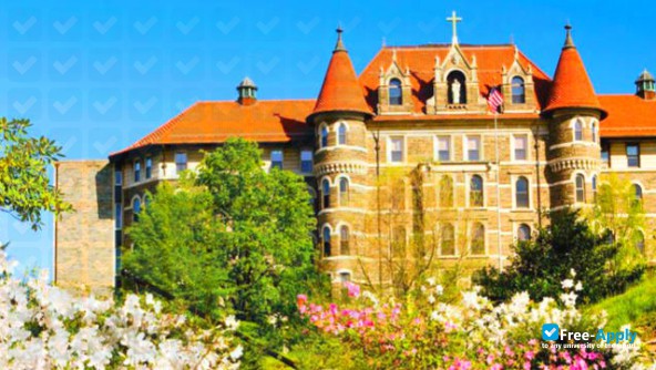 Chestnut Hill College photo