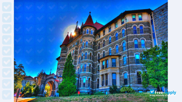 Chestnut Hill College photo #4