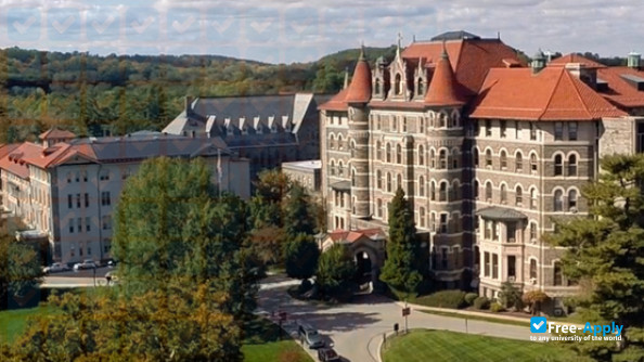 Chestnut Hill College photo #1