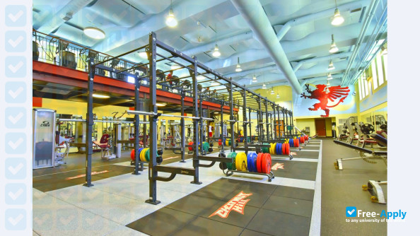 Chestnut Hill College photo #10