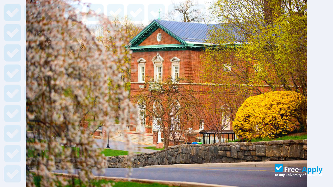 College of Mount Saint Vincent фотография №10