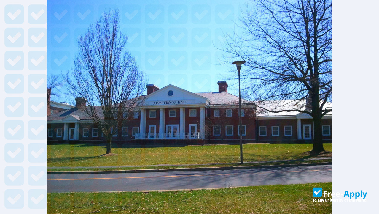 College of New Jersey фотография №6