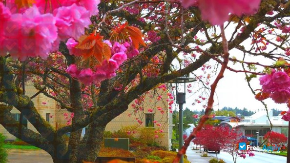 Clatsop Community College photo #2