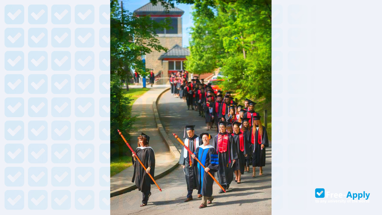 Davis & Elkins College photo #6