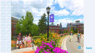 College of the Holy Cross vignette #9