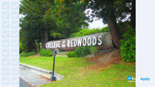 College of the Redwoods vignette #4