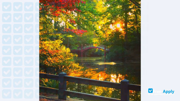 College of William & Mary photo #6