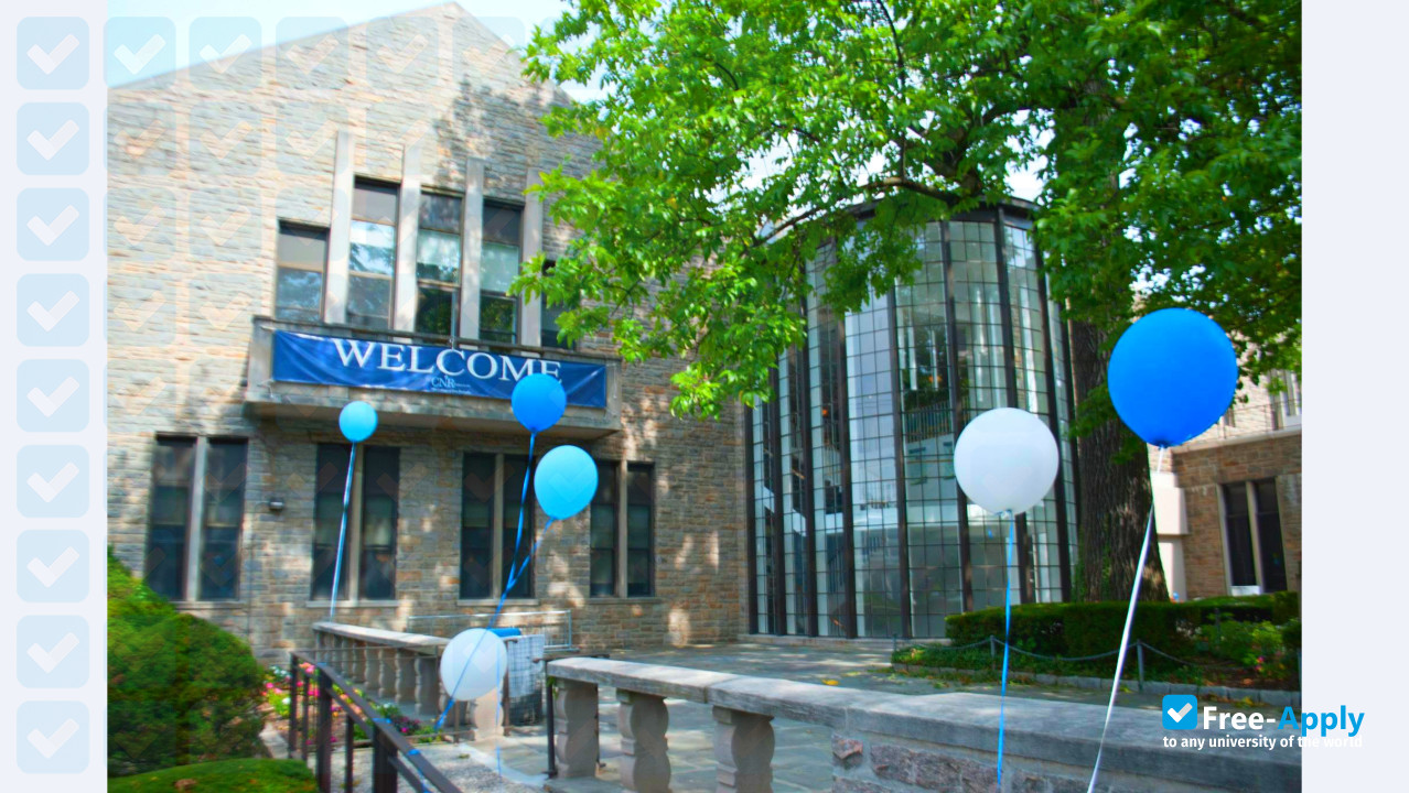 College of New Rochelle photo #11