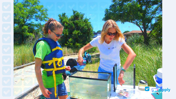 College of William & Mary Virginia Institute of Marine Science photo #8