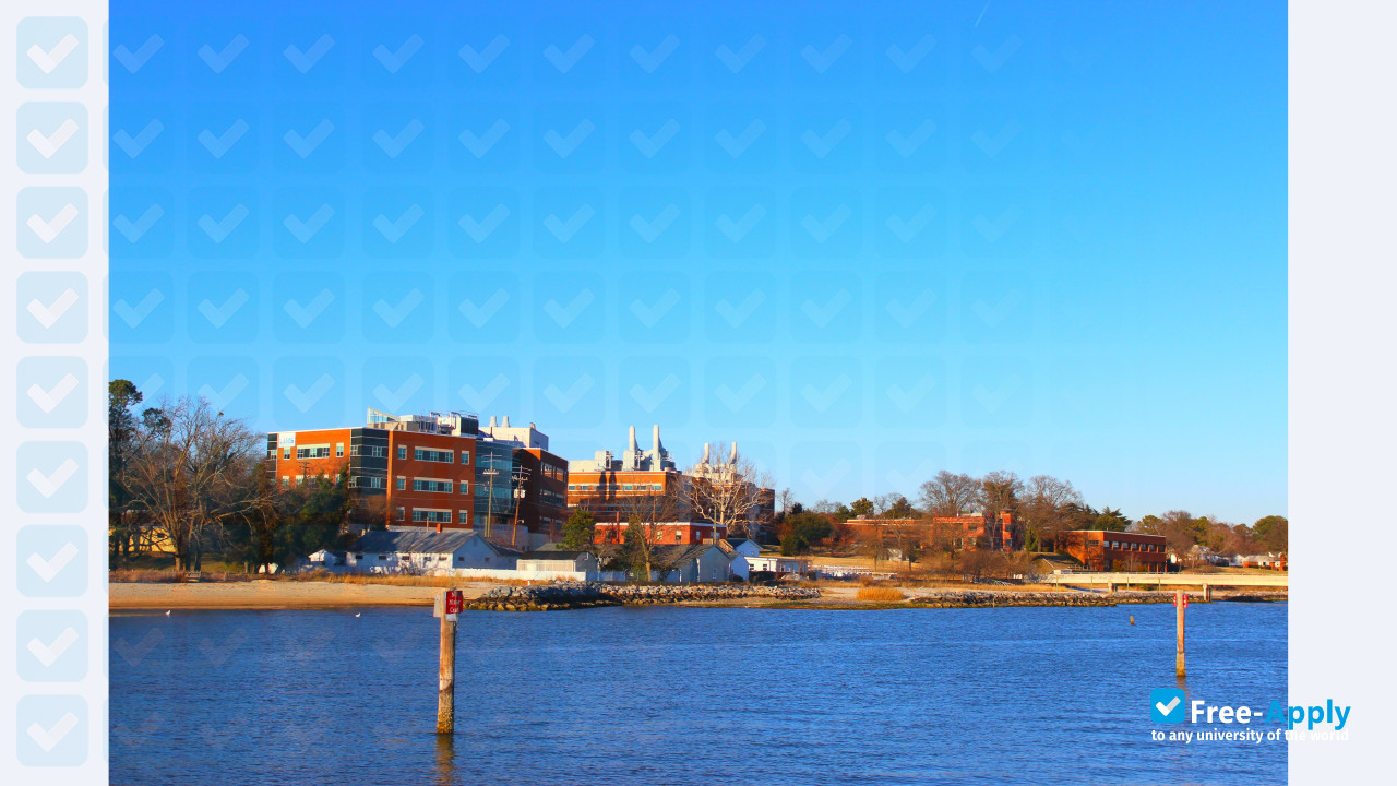 College of William & Mary Virginia Institute of Marine Science photo #9