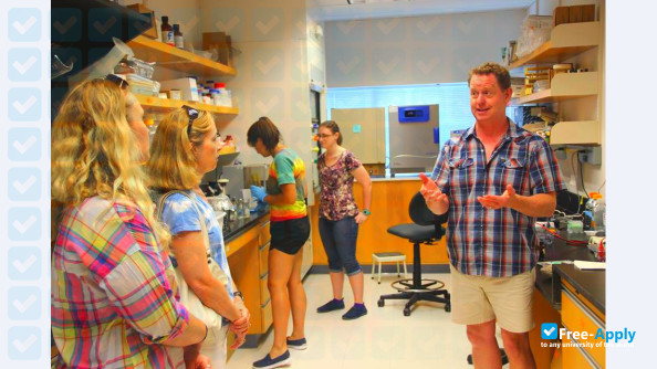 College of William & Mary Virginia Institute of Marine Science photo #5