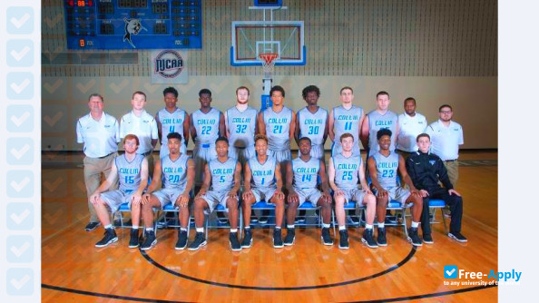 Collin College photo #9