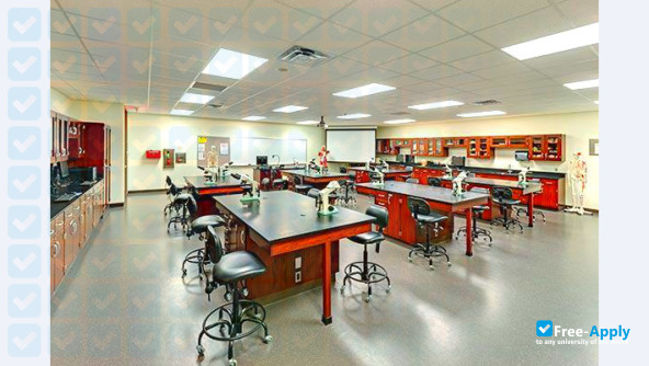 Collin College photo #11