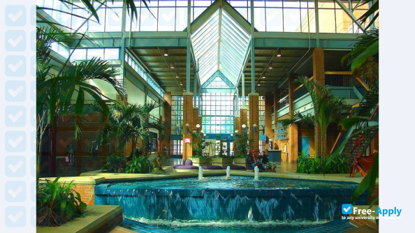 Collin College photo #4