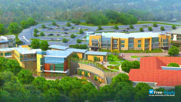 The Collins College of Hospitality Management photo #3