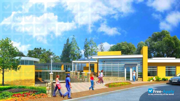 The Collins College of Hospitality Management photo #7