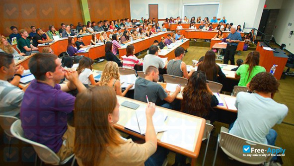 The Collins College of Hospitality Management photo #6