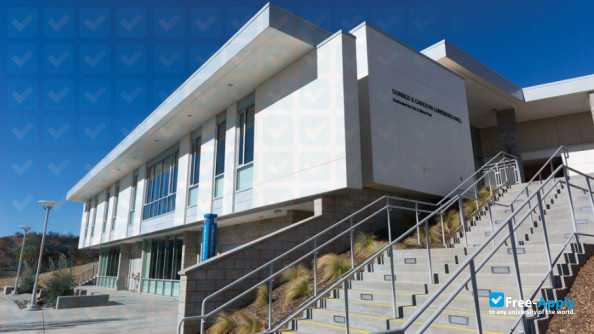 The Collins College of Hospitality Management photo #8