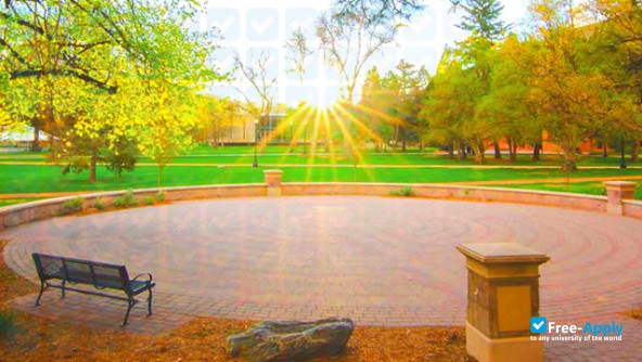 Colorado College photo #8